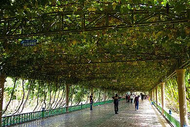 犯罪心理学与策略卡牌的完美融合，《卡牌侦探》12月15日下午4点Steam正式发售！